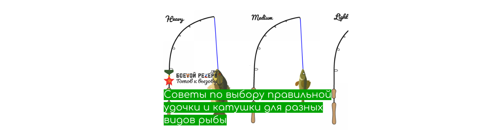 Советы по выбору правильной удочки и катушки для разных видов рыбы