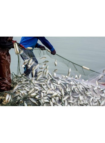 Эффективные рыболовные сети из Китая: секреты долгой службы