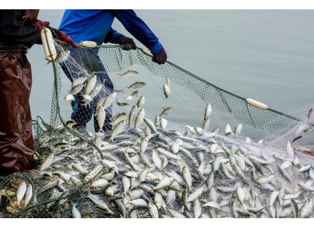 Эффективные рыболовные сети из Китая: секреты долгой службы