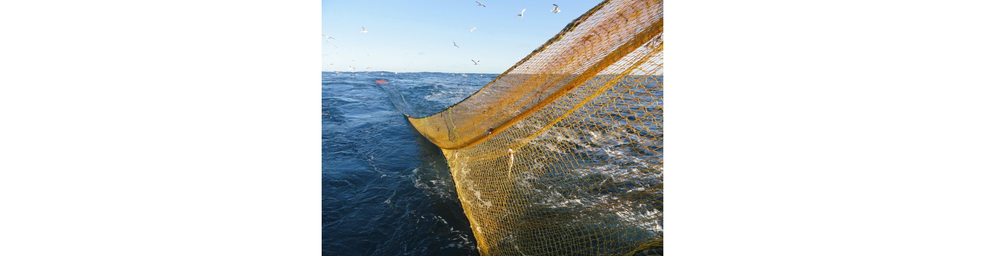 Качественные рыболовные сети из Китая: выбор современных рыбаков