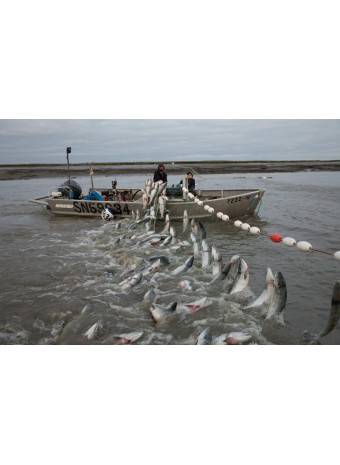 Мастерство рыболовных сетей: передовые методы Китая