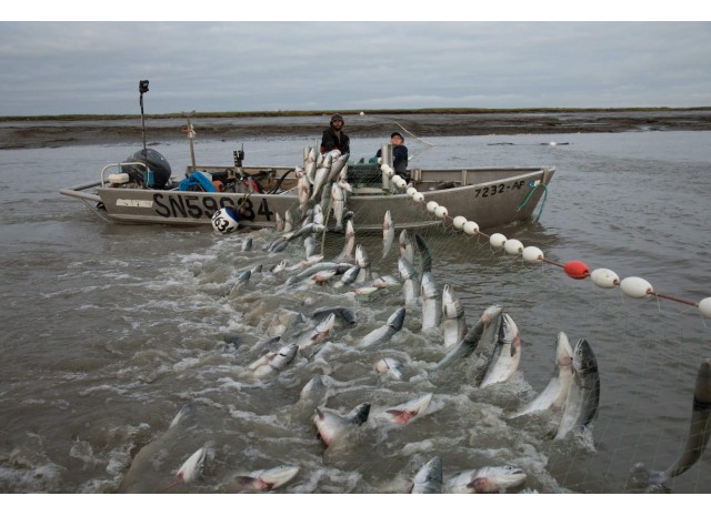 Мастерство рыболовных сетей: передовые методы Китая