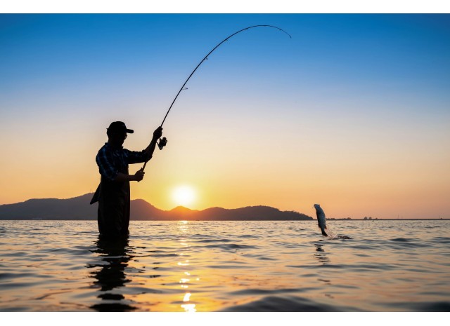 От новичка к эксперту: Секреты успешной рыбалки с MIFINE