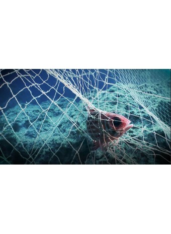 Прочные и устойчивые: обзор рыболовных сетей из Китая