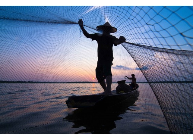 Сети для рыбной добычи: качество и надежность от производителей из Китая